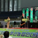 강서구-35 이미지