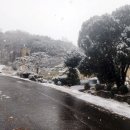 골프존파크 남양스카이점 이미지