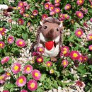 함현공원 작은도서관 이미지