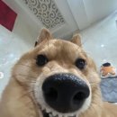 소중농장 이미지