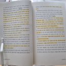 경이와 통찰 : 위대한 연구는 무엇으로 시작되는가? | 필사 - 『불확실한 날들의 철학』