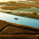 순천만풍경 이미지