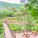 테라피·편백 트레킹까지 즐기는 힐링 명소 이미지