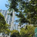 교리주공아파트 이미지