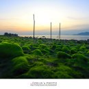 보성바다스토리리조트 이미지