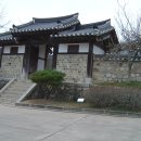 백송