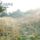 남원읍-33 이미지