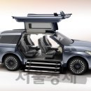 코리아윙카 이미지