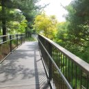 배수지 공원주변 | 대현산 배수지공원 (응봉공원) 테니스장, 공영주차장 주차 후기