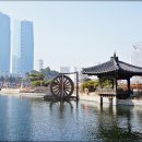 송도달빛축제공원 Daum카페