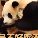 신장림사랑채노인복지관 이미지