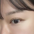 더한올(The한올) 이미지