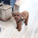 굿바이(GoodBuy) 이미지