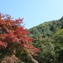 띠아모 펜션 이미지