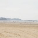 사구해수욕장1 이미지