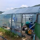 백곡농장 이미지