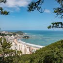 송정관광지 이미지