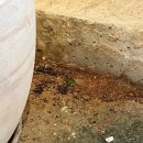 시목 | 함평 시목 느좋 카페 방문 후기(오픈런, 메뉴판, 추천 메뉴)