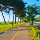 금강건재 | [전남 나주] 영산강 자전거길 아이랑 라이딩 10km 국토종주 자전거길 승촌보 인증센터 스탬프