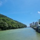 송원물회 이미지