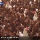 우림구조엔지니어링
