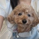 커피명가 청도점 이미지