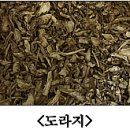 6월 오미자·도라지 재배 기술