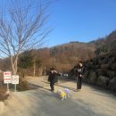 사가록캠핑장 | 애견동반 사가록캠핑장