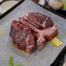 최네집 이미지