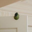 1555 | 일오오오(1555) | 소프소프 실리콘 도어스토퍼 배 후기