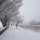 영상뮤직 이미지