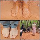 황방산 야영장 이미지