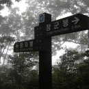 정일산기 이미지