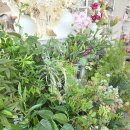 포시즌플라워 - 창원시 성산구 외동반림로 136 | 포시즌플라워