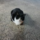 GS25 익산 웅포 이미지