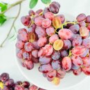 달코미상회 이미지