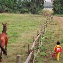 박길수 농장 이미지