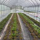 홀인원가든 | 여주골프장맛집 찾는다면? 홀인원가든쌈밥 직접 다녀온 후기