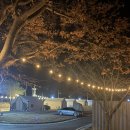 방산면 송현리 캠핑장 이미지