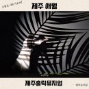 반딧불 동물병원 | 제주도 애월 실내 관광지 제주홀릭뮤지엄 관람시간 포토존 천국 후기