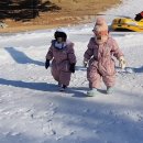 노벨약국 | 아이와 홍천 여행 : 소노벨 비발디파크 후기 &amp; 스노위파크 (할인, 주차, 준비물 etc 꿀팁 포함)