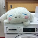 아롱이다롱이 이미지