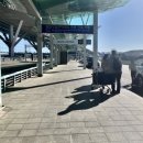 사막녹화 | 인천공항 2터미널 장기주차장 요금 할인 주차대행 예약 후기