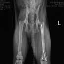 블루동물종합병원 이미지