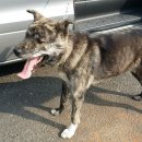 광교산로 이미지