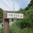 재성수지 이미지