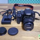 행운동-55 이미지