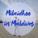 오션컴퍼스 | 여행_밀라이두 5일차_오션(Ocean) 하프보드, 조식부페, 비치빌라 앞 스노클링, 콤파스바(Compass...