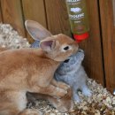 김철농장 이미지