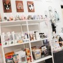 살롱드독 이미지